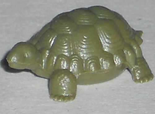Schildkröte, grün