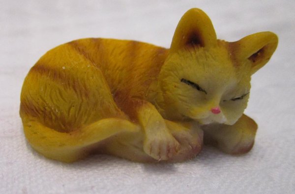 Katze, schlafend, braun-beige gestreift