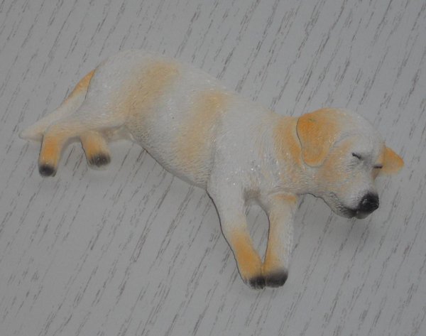 Hund - schlafender Labrador